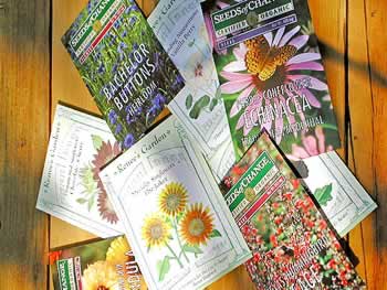 03 Garden2 jpg